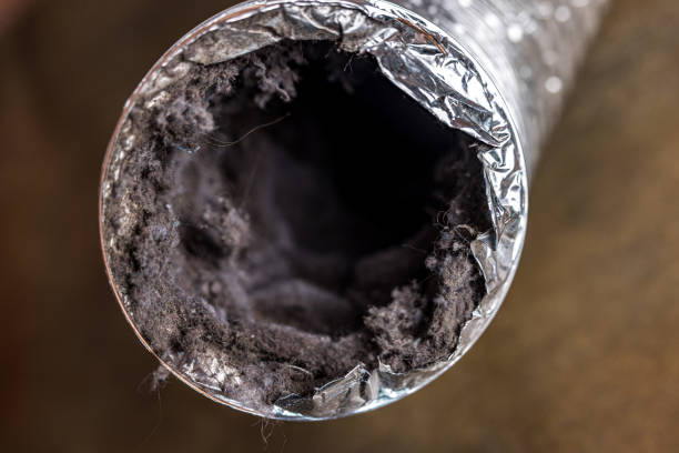 Best Affordable HVAC Duct Cleaning  in Park View, IA